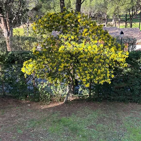 Climatise - Wifi Apartament *